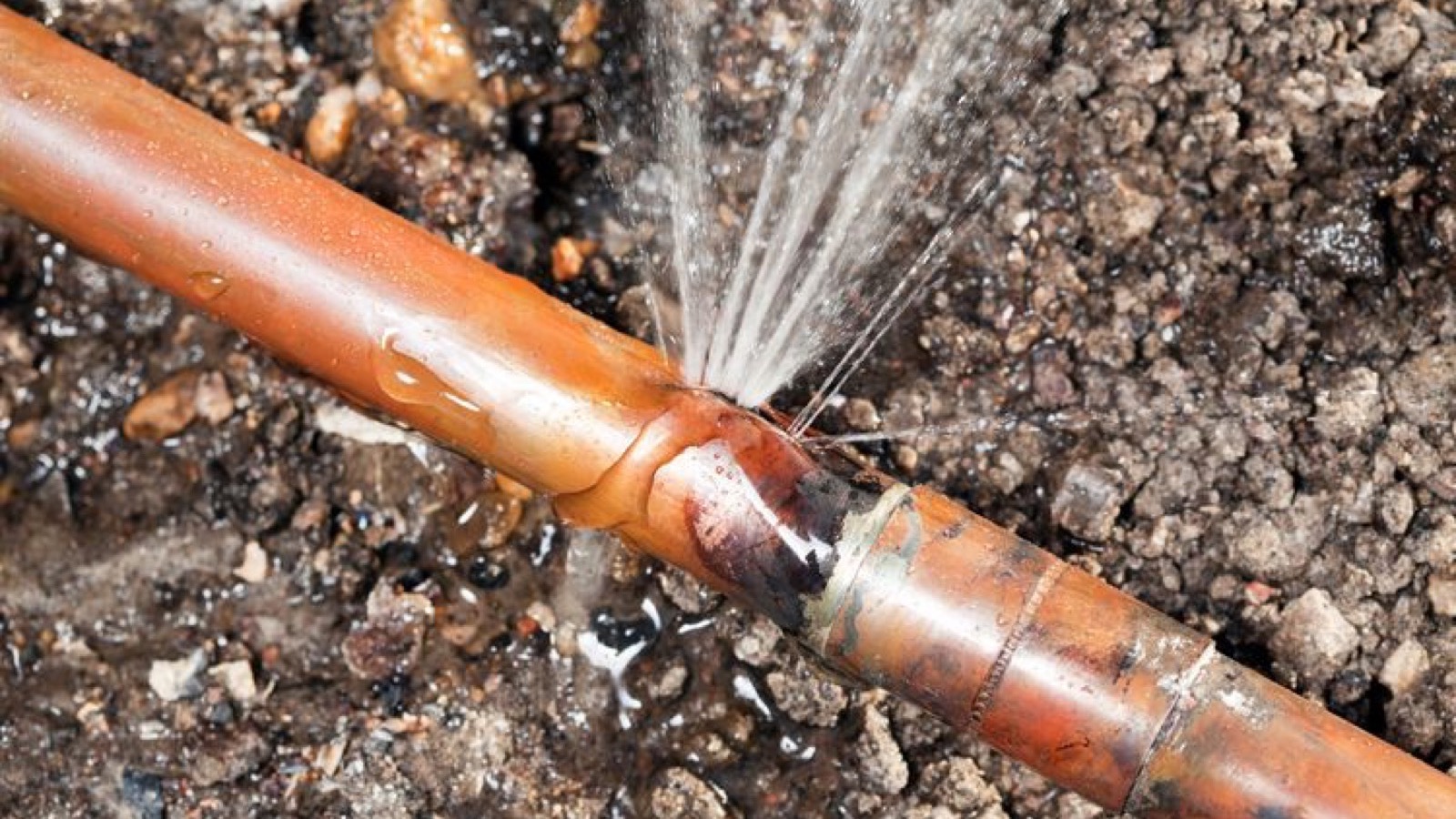 Plumbing specialist repairing a system in Rock Hill